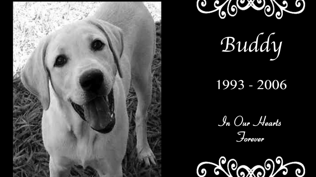 Forever in Our Hearts: Honoring Beloved Pets through Memorials