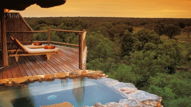 Roaming Royalty: Embarking on a Luxe Safari Experience